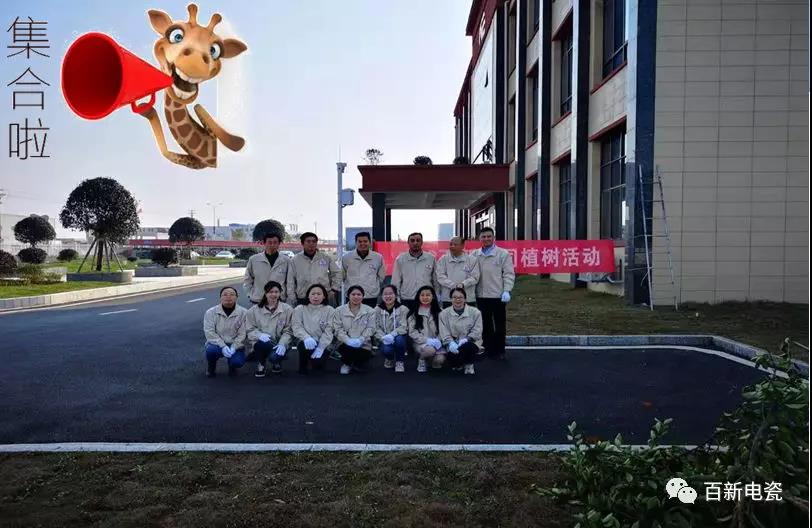 3.12植树节   ，今年你开始播种了吗？