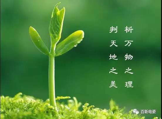 植树 |【种下希望   ，收获梦想】