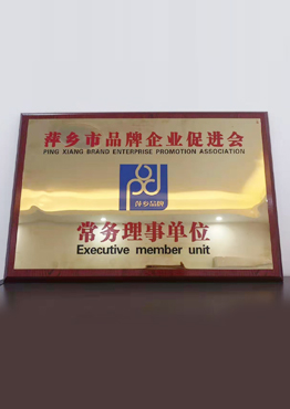 品牌促进会理事单位