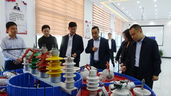 钱颜琮-百日护航走访|稳增长、防风险、保稳定、惠民生